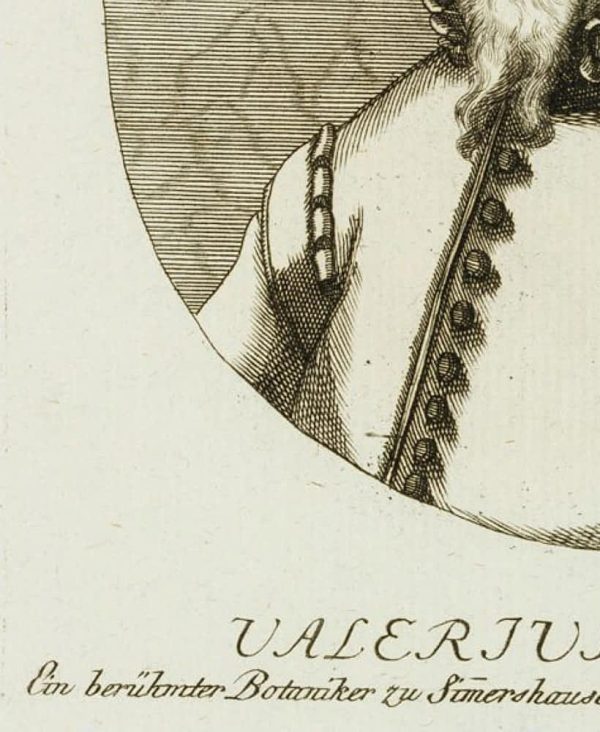 Unbekannt (19.Jhd), Porträt von Valerius Cordus, Romantik Porträt