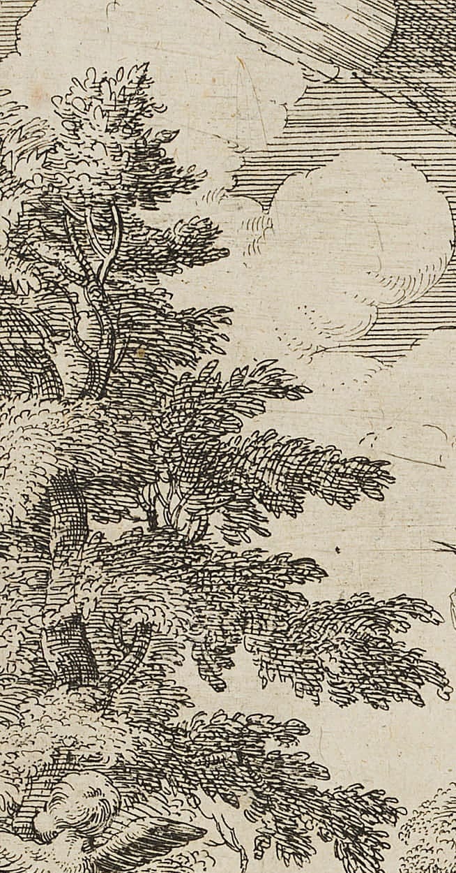 2017-01-03-NX-00256-0103.L-new-0