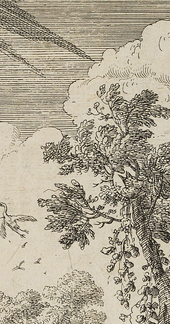 2017-01-03-NX-00256-0103.L-new-1