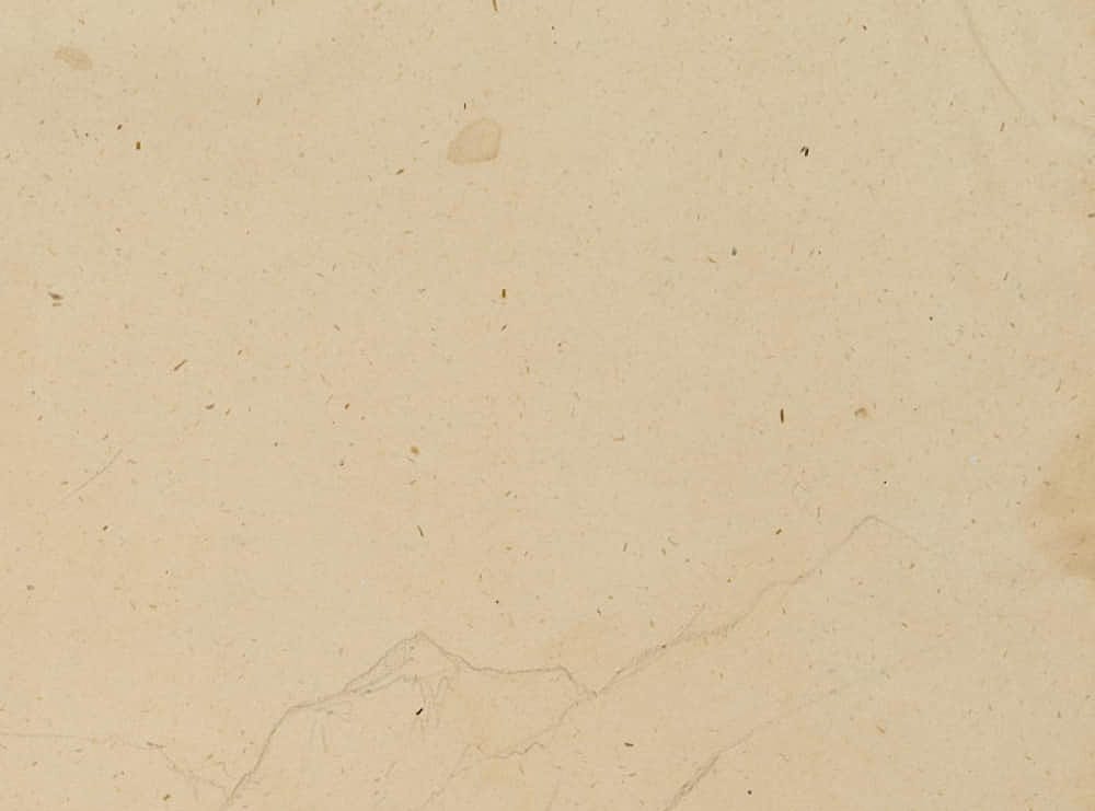 H. W. Fichter Kunsthandel, Frankfurt am Main