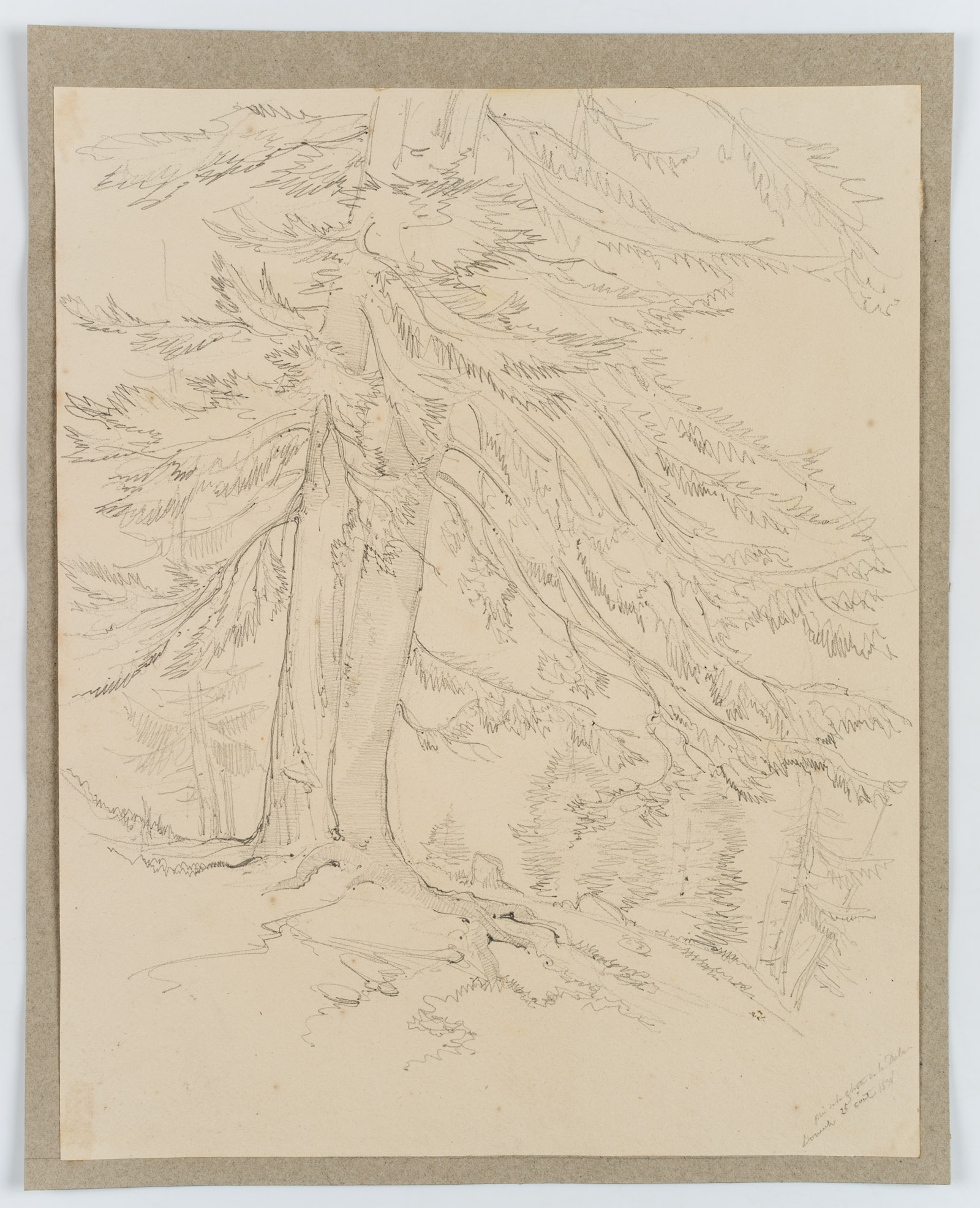 H. W. Fichter Kunsthandel, Frankfurt am Main