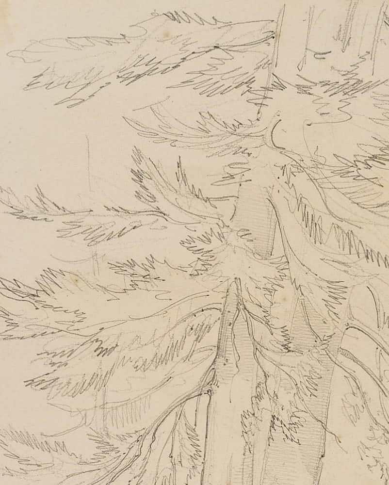 H. W. Fichter Kunsthandel, Frankfurt am Main