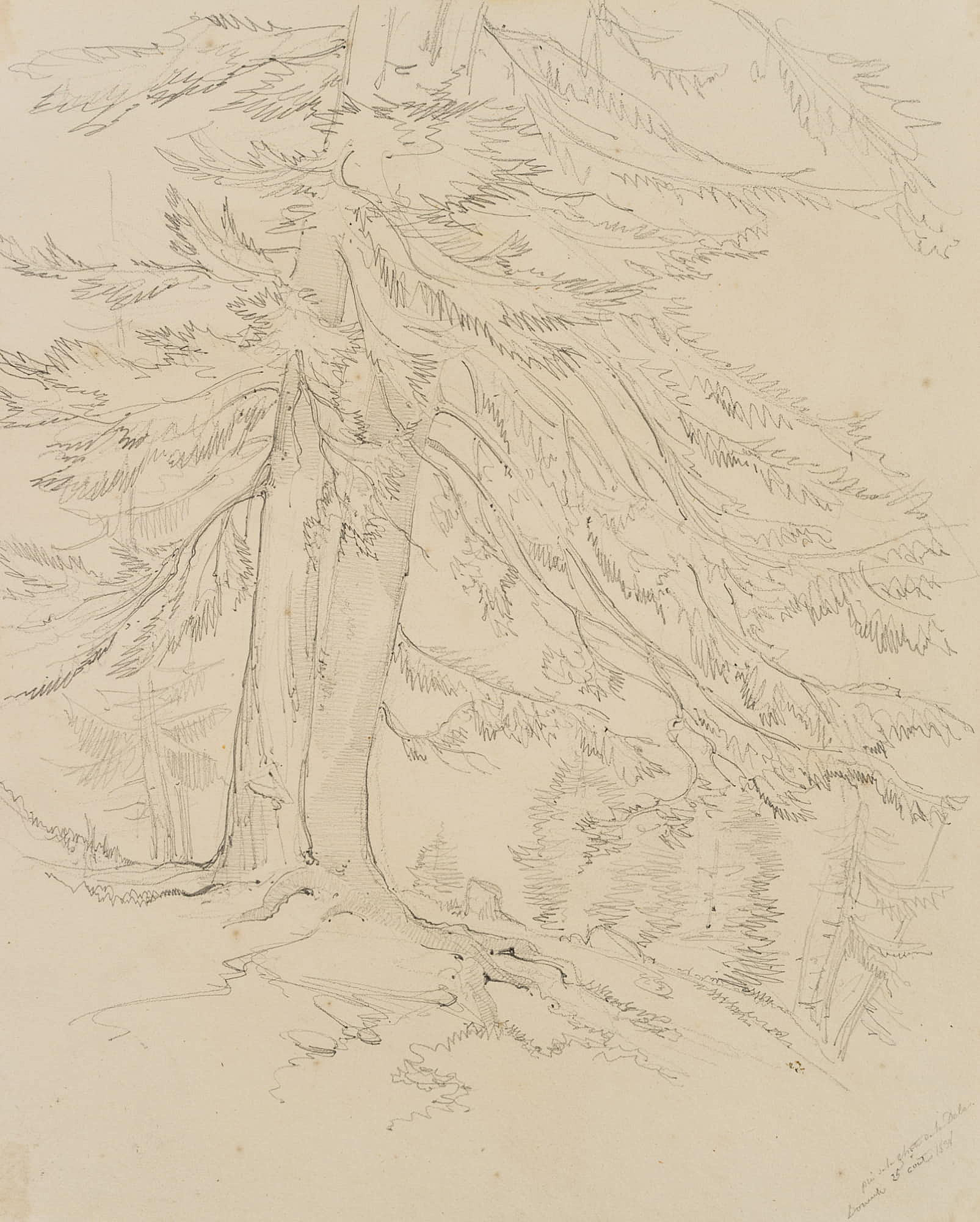 H. W. Fichter Kunsthandel, Frankfurt am Main