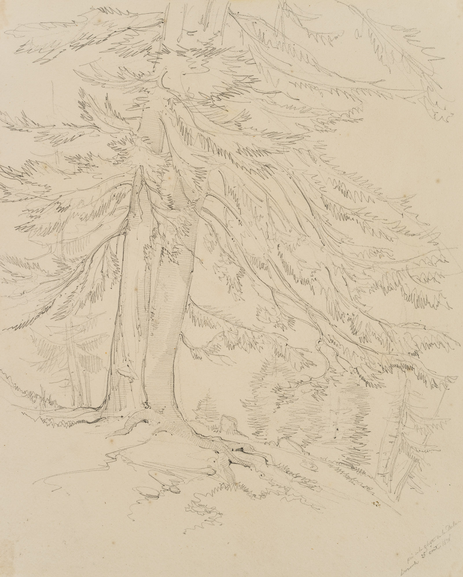 H. W. Fichter Kunsthandel, Frankfurt am Main