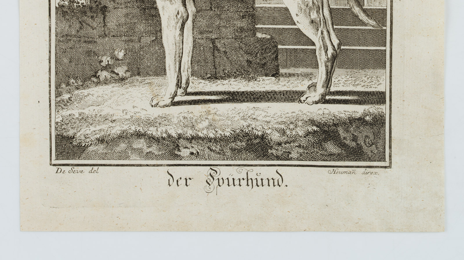 H. W. Fichter Kunsthandel, Frankfurt am Main