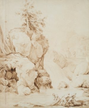 Seiten der Natur