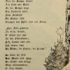 Ansicht 5