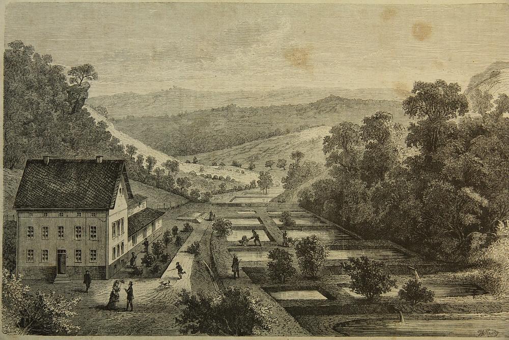 Werk von W. Reidig