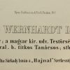 Ansicht 5