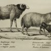 Ansicht 4