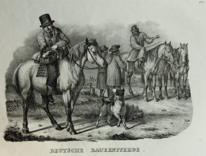 Deutsche Bauernpferde beim Ausritt