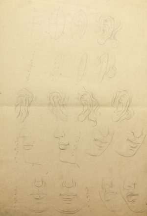 Studien, menschliche Physiognomie