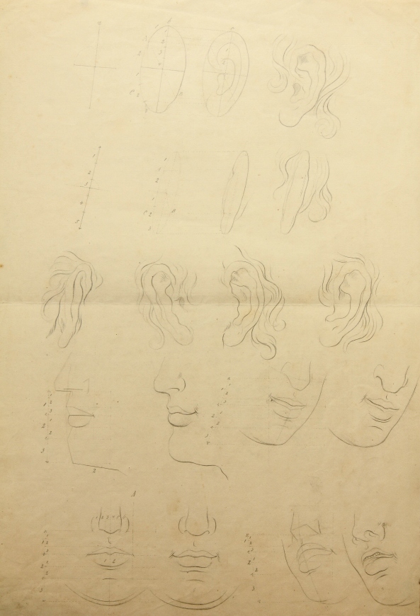 Studien, menschliche Physiognomie