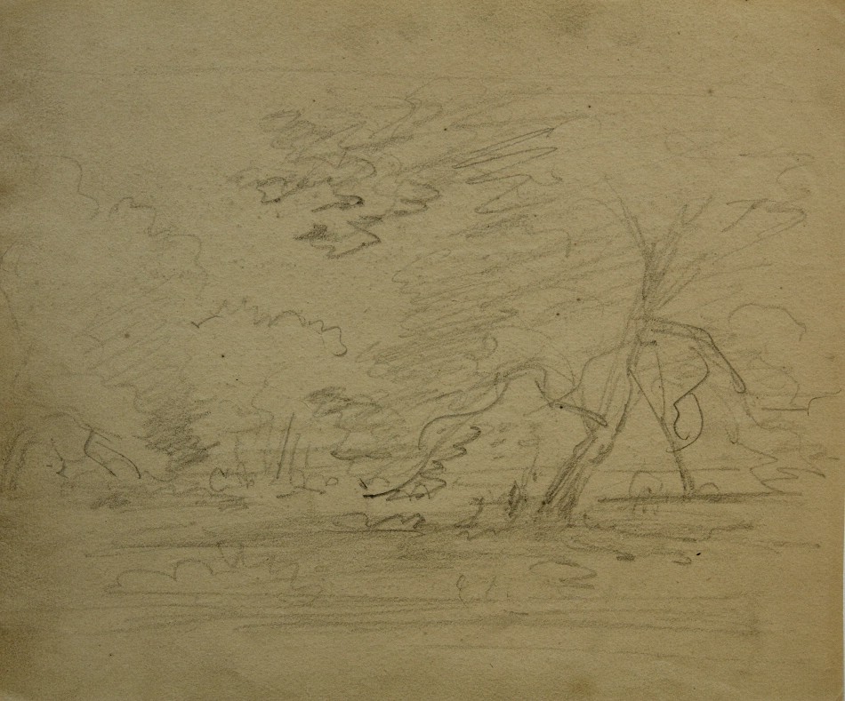 Naturdarstellung, Parklandschaft