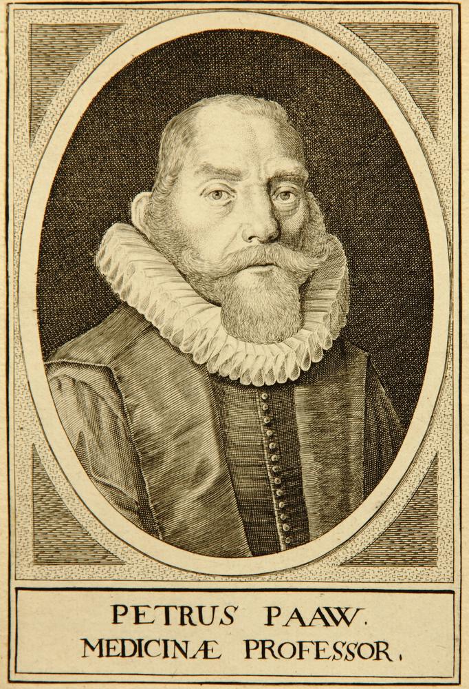 Porträt Petrus Pauw (1564-1617)