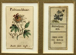2 Grußkärtchen m. Spruch und Blumen