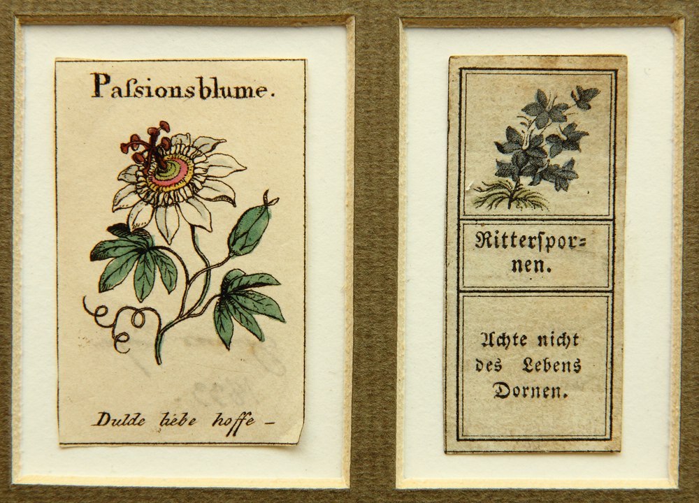 2 Grußkärtchen m. Spruch und Blumen