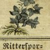 Ansicht 5