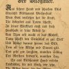 Ansicht 5