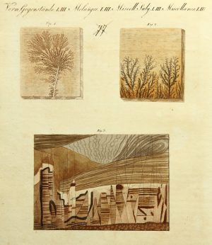 Dendriten und Florentiner Marmor