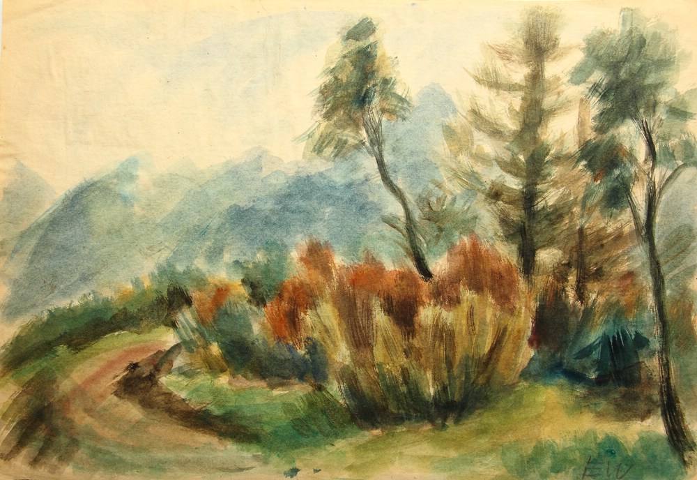 Bäume im Gebirge
