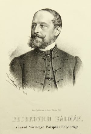 Politiker Koloman Bedekovic
