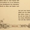 Ansicht 5