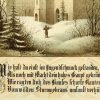 Ansicht 5