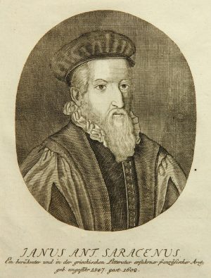 Mediziner Janus Saracenus