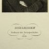 Ansicht 5