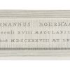 Ansicht 3