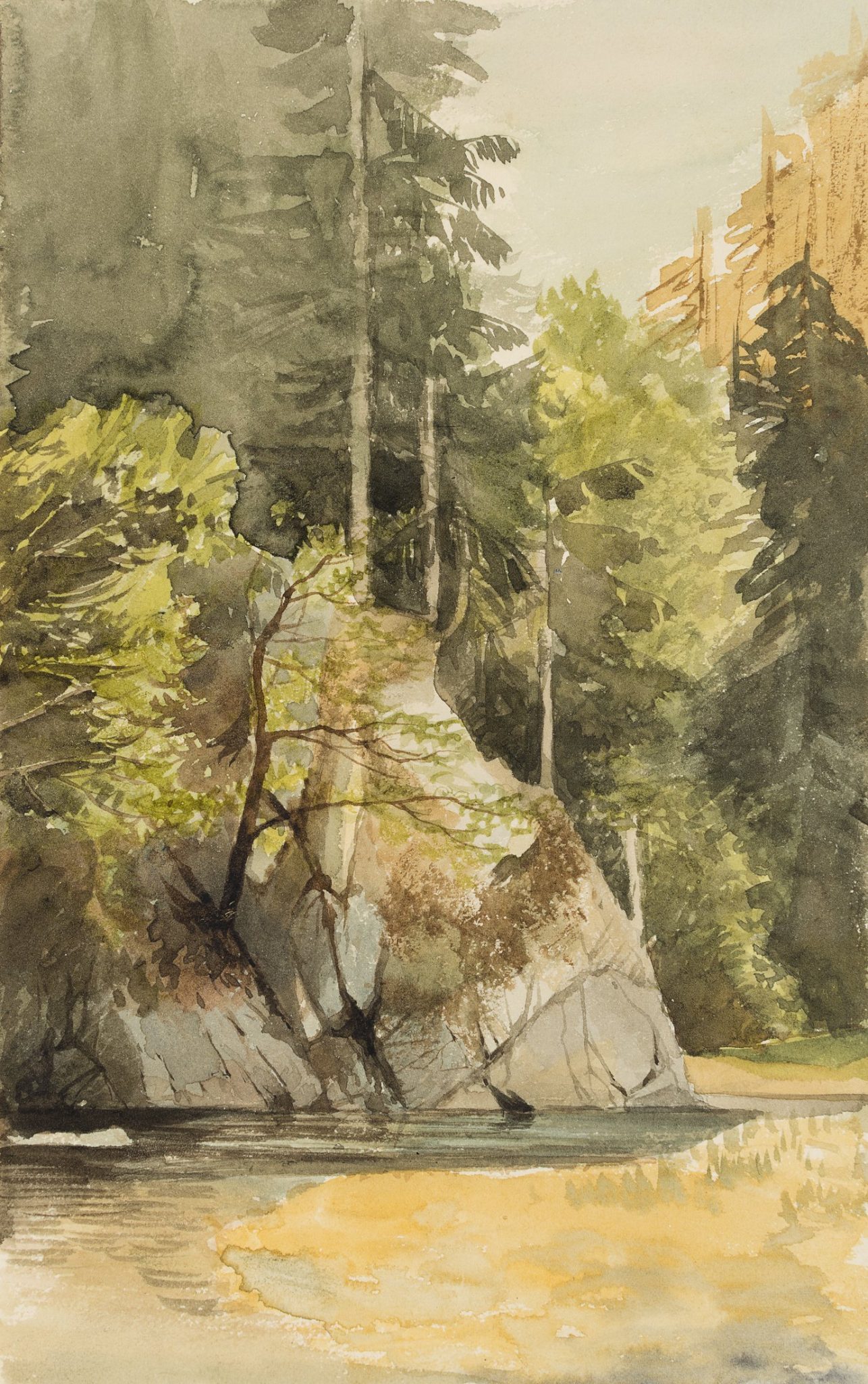 Fluss durch bewaldetes Tal