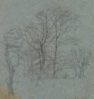 Winterliche Baumgruppe