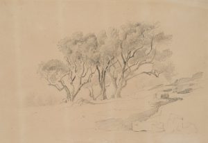 Felsige Landschaft mit Bäumen