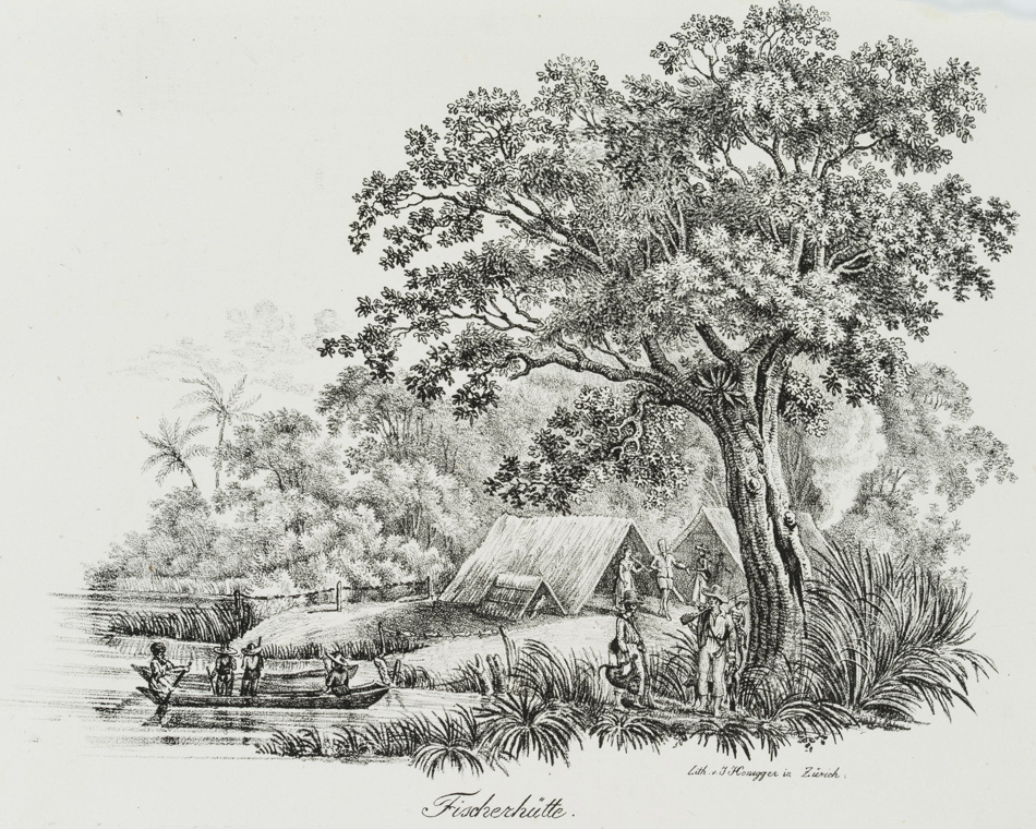 Werk von Honegger