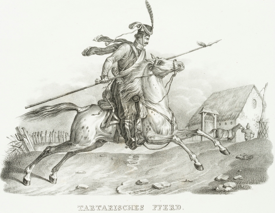 Tartarisches Pferd