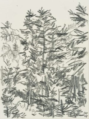 Wald