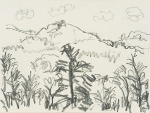Wald