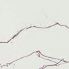 Ansicht 5