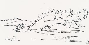 Wilde Natur auf den skandin. Schären