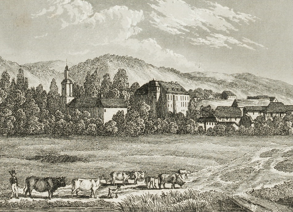 Schloss Schweinsburg, Sachsen