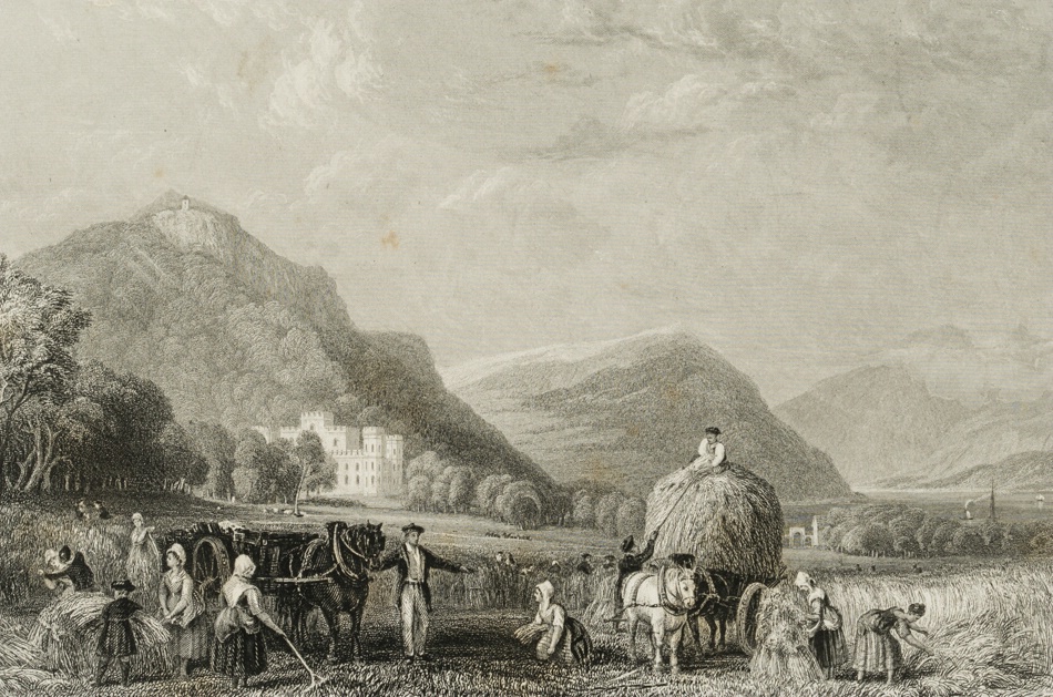 Werk von Thomas Higham