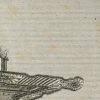 Ansicht 5