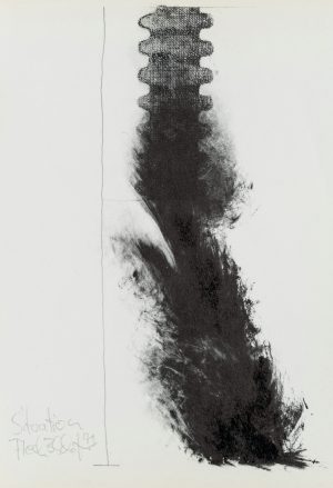 Situation Fleck 3, Modern