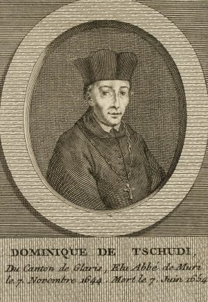 Porträt von Dominique de Tschudi