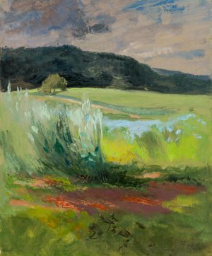 Taunuslandschaft
