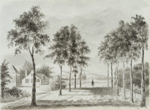 Wanderer auf Allee im Rheinland
