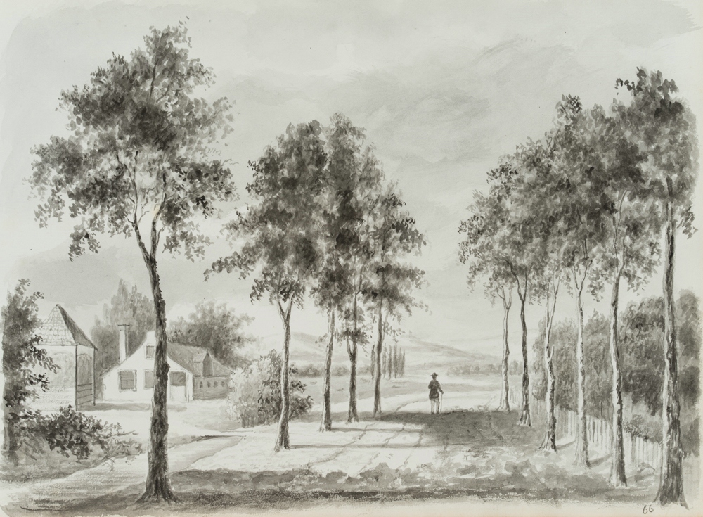 Wanderer auf Allee im Rheinland