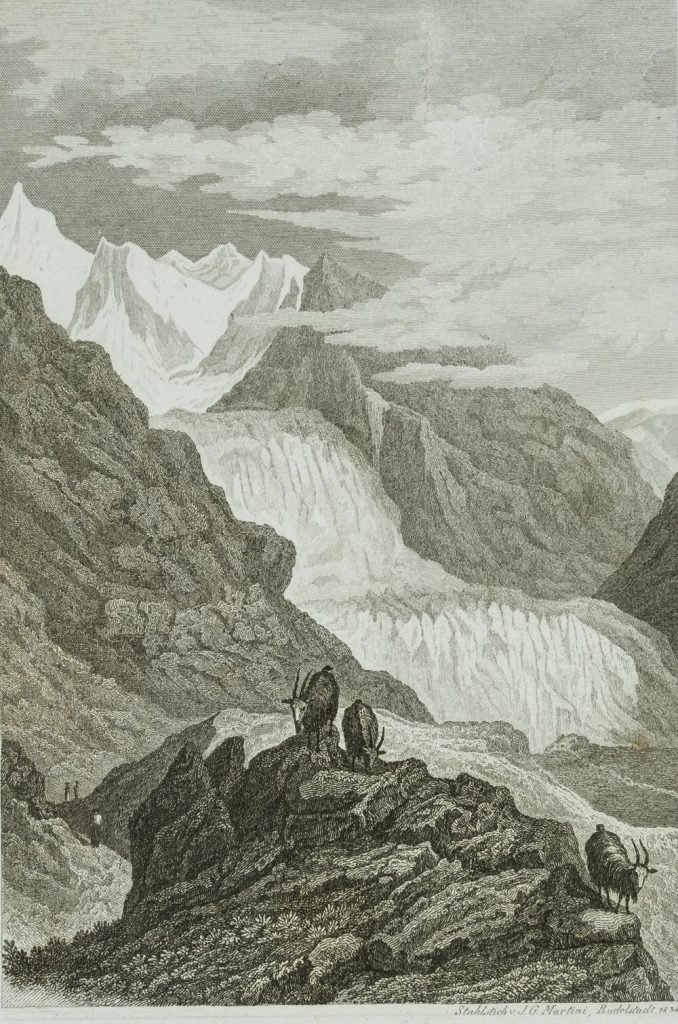 Werk von Johann Georg Martini