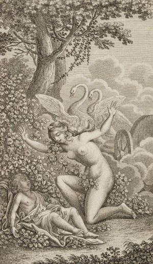 Venus beim toten Adonis